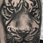 Foto de un tatuaje de un tigre con estilo realista hecho por un tatuador de kaifa´s tattoo studio en Madrid
