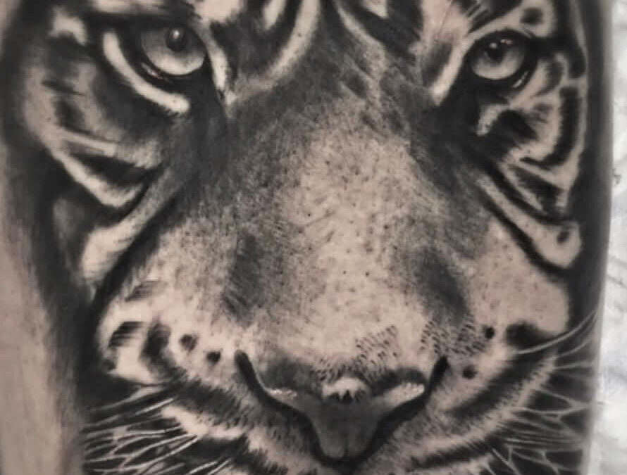 Foto de un tatuaje de un tigre con estilo realista hecho por un tatuador de kaifa´s tattoo studio en Madrid