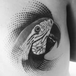 Foto de un tatuaje de un ave con estilo realista hecho por un tatuador de kaifa´s tattoo studio en Madrid
