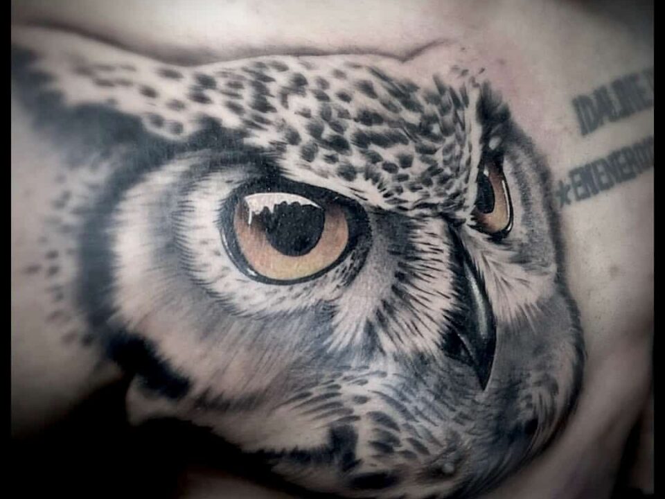 Foto de un tatuaje de de un búho con estilo realista hecho por un tatuador de kaifa´s tattoo studio en Madrid (Moncloa Chamberí)