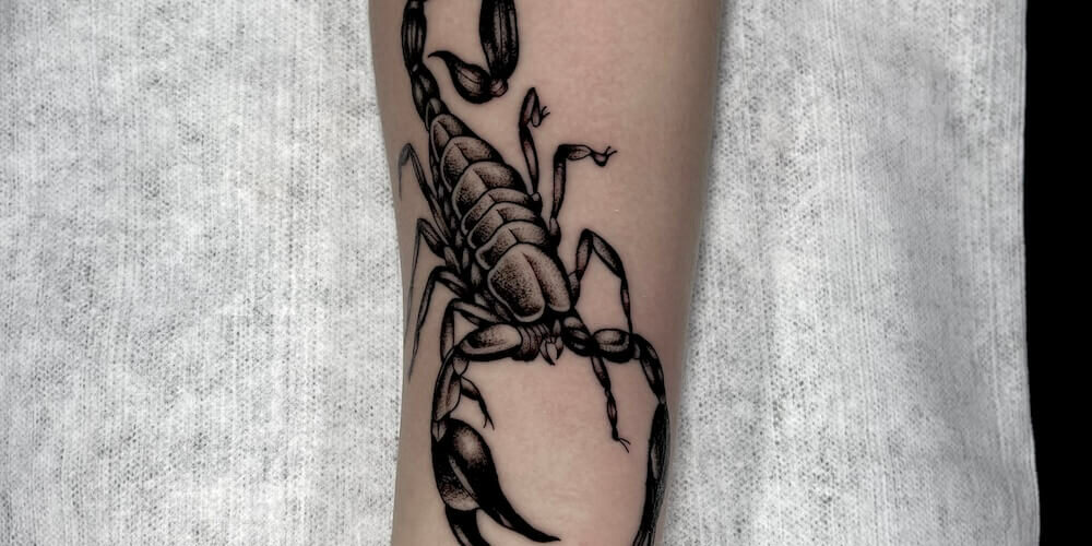 Foto de un brazo tatuado con estilo de tatuaje blackwork de un escorpion por Carlos cuervo, tatuador de kaifa´s tattoo studio en Madrid