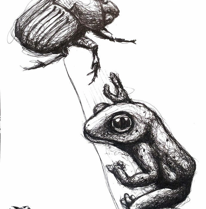 Ilustración del diseño de Tattoo del artista tatuador Raúl Rodríguez para Kaifa´s Tattoo Studio En Madrid (Chamberí - Moncloa), estilo de tatuaje Sketch, insectos mundo animal