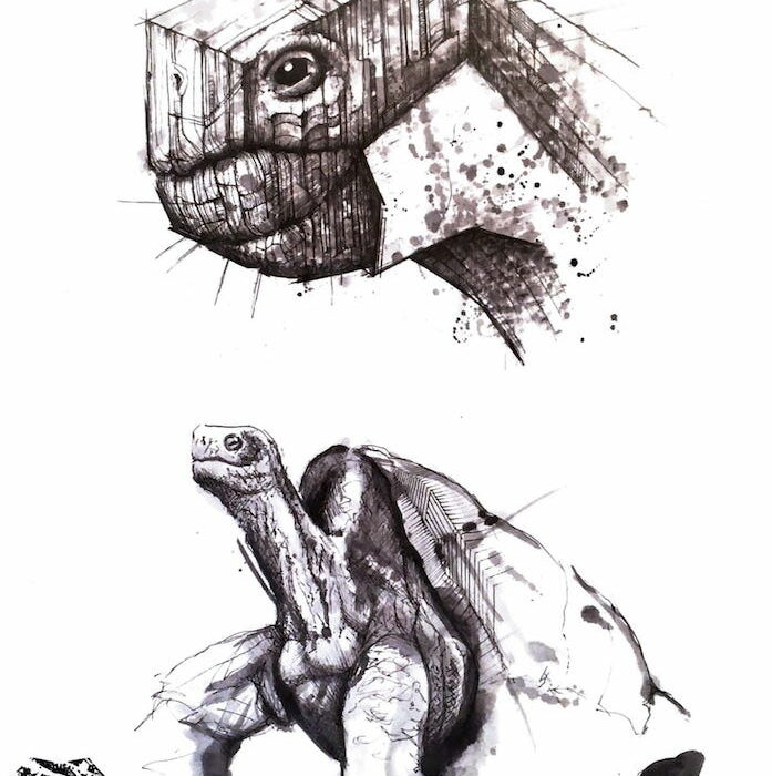 Ilustración del diseño de Tattoo del artista tatuador Raúl Rodríguez para Kaifa´s Tattoo Studio En Madrid (Chamberí - Moncloa), estilo de tatuaje Sketch de una tortuga
