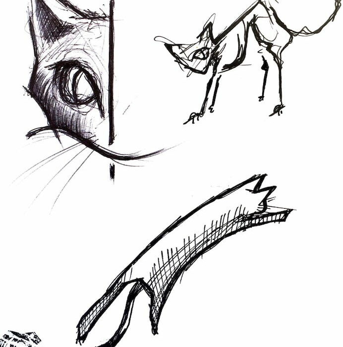Ilustración del diseño de Tattoo del artista tatuador Raúl Rodríguez para Kaifa´s Tattoo Studio En Madrid (Chamberí - Moncloa), estilo de tatuaje Sketch, gato felino
