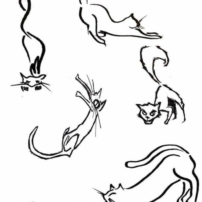 Ilustración del diseño de Tattoo del artista tatuador Raúl Rodríguez para Kaifa´s Tattoo Studio En Madrid (Chamberí - Moncloa), estilo de tatuaje Sketch, gatos