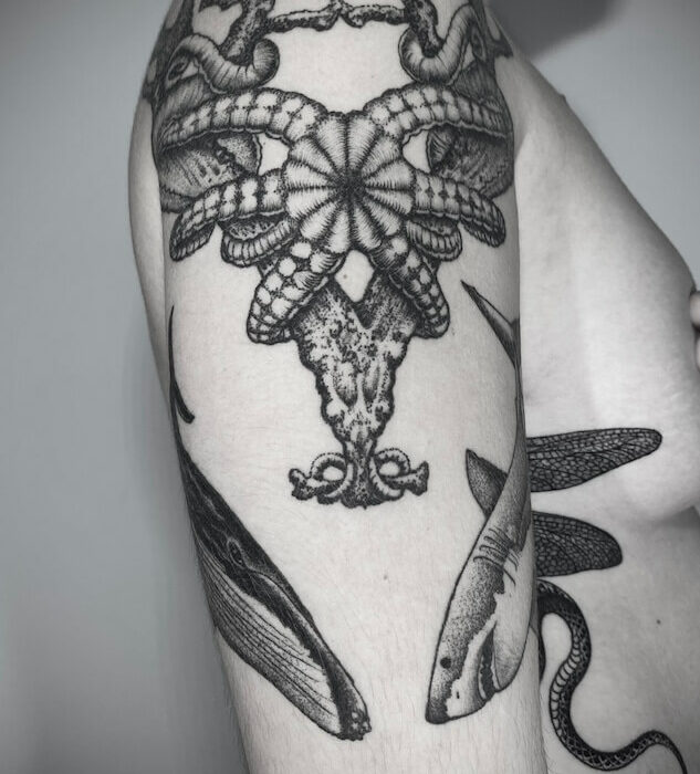Foto de un tatuaje realizado por el tatuador Gennaro sacco en kaifa´s tattoo Studio Madrid, con estilo dotwork, con materiales cruelty free